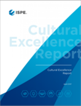 Отчет по культурному мастерству - Шесть ключевых измерений